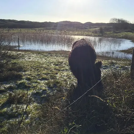 度假居 Little Lighthouse Texel